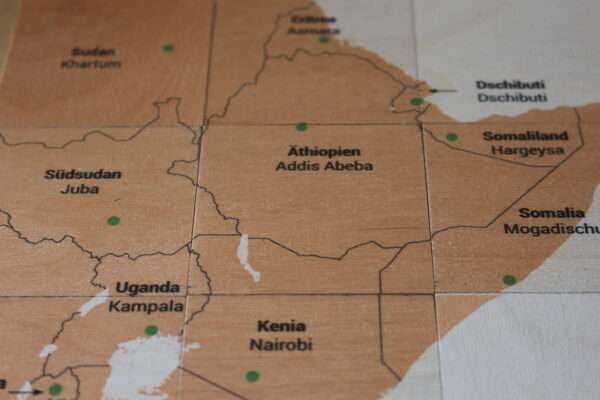 Domiemo aus Holz - Kontinente - Afrika – Bild 3