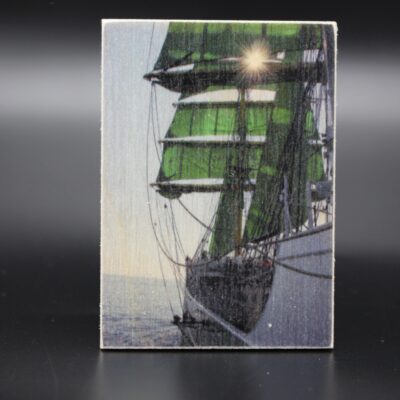 Holzmagnet "Alexander von Humboldt II" - Motiv 02