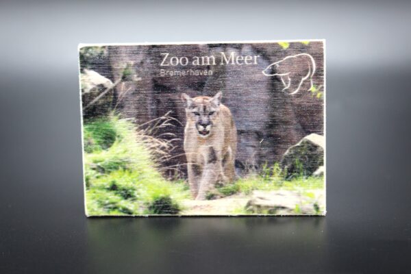 Holzmagnet „Zoo am Meer Bremerhaven" - Puma
