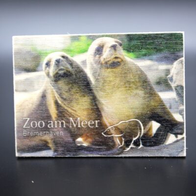 Holzmagnet „Zoo am Meer Bremerhaven" - Seehunde