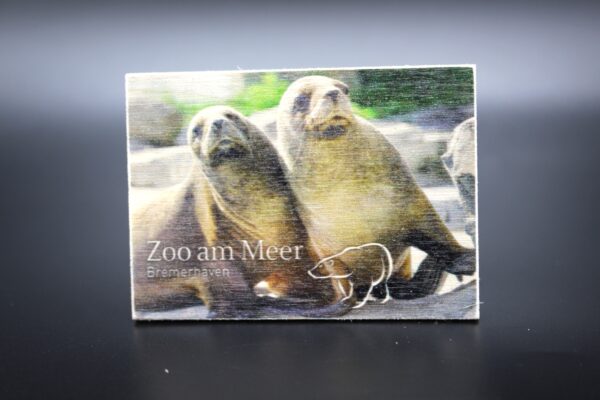 Holzmagnet „Zoo am Meer Bremerhaven" - Seehunde