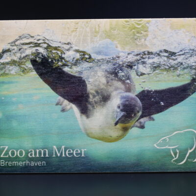 Holzkarte "Zoo am Meer Bremerhaven" - Pinguin