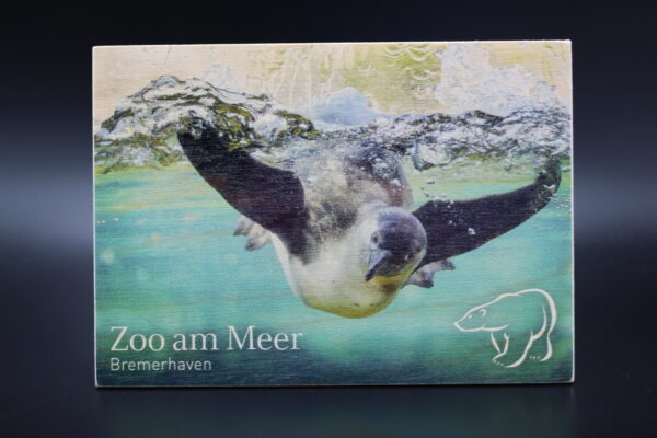 Holzkarte "Zoo am Meer Bremerhaven" - Pinguin