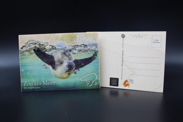 Holzkarte "Zoo am Meer Bremerhaven" - Pinguin – Bild 2