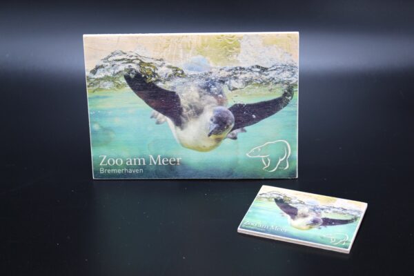 Holzkarte "Zoo am Meer Bremerhaven" - Pinguin – Bild 4