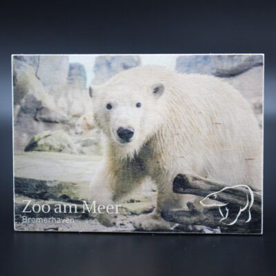 Holzkarte "Zoo am Meer Bremerhaven" - Eisbär - Motiv I
