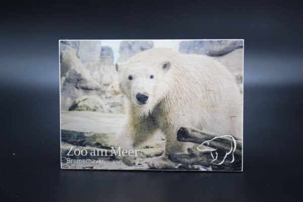 Holzkarte "Zoo am Meer Bremerhaven" - Eisbär - Motiv I