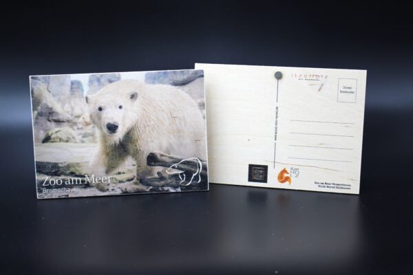 Holzkarte "Zoo am Meer Bremerhaven" - Eisbär - Motiv I – Bild 2