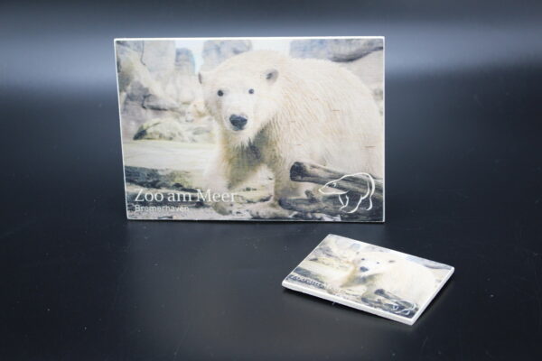Holzkarte "Zoo am Meer Bremerhaven" - Eisbär - Motiv I – Bild 4
