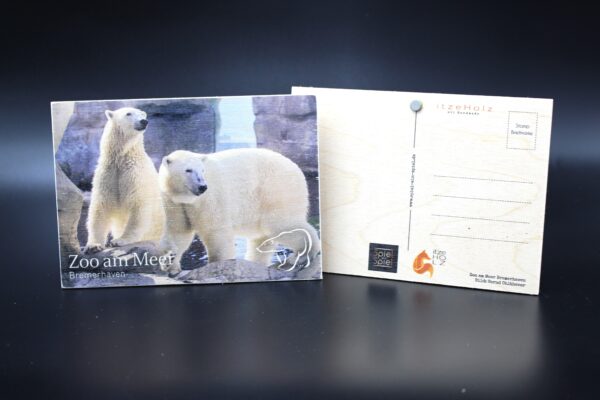 Holzkarte "Zoo am Meer Bremerhaven" - Eisbären - Motiv II – Bild 2