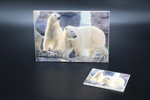 Holzkarte "Zoo am Meer Bremerhaven" - Eisbären - Motiv II – Bild 4