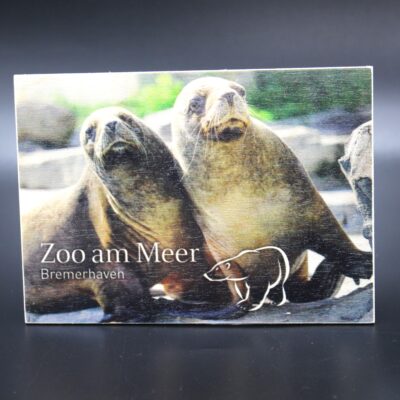 Holzkarte "Zoo am Meer Bremerhaven" - Seehunde