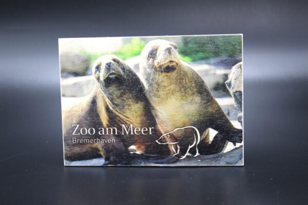Holzkarte "Zoo am Meer Bremerhaven" - Seehunde