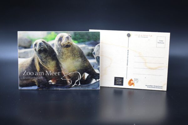 Holzkarte "Zoo am Meer Bremerhaven" - Seehunde – Bild 2
