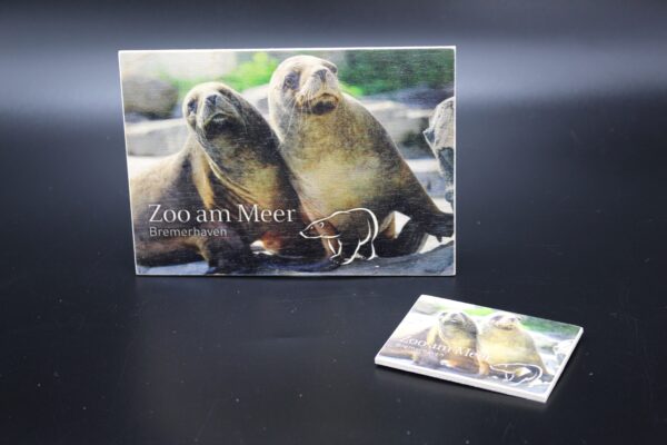 Holzkarte "Zoo am Meer Bremerhaven" - Seehunde – Bild 4