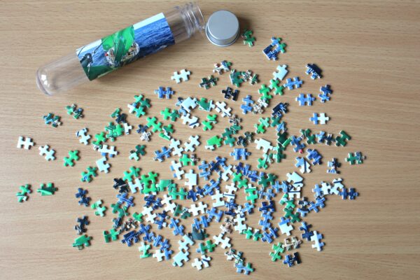 Micro-Puzzle "ALEXANDER von HUMBOLDT II" - Motiv II – Bild 5