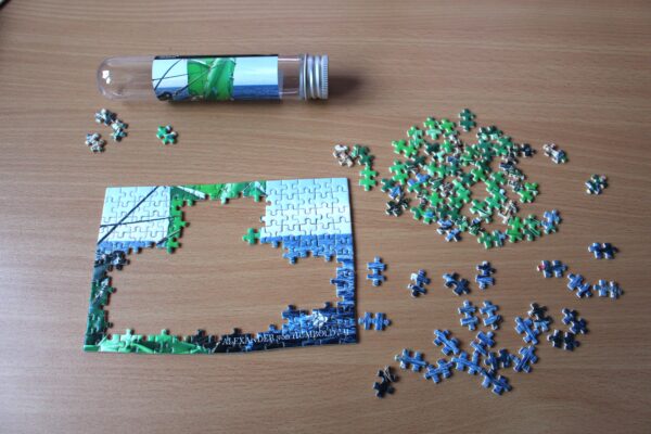 Micro-Puzzle "ALEXANDER von HUMBOLDT II" - Motiv II – Bild 6