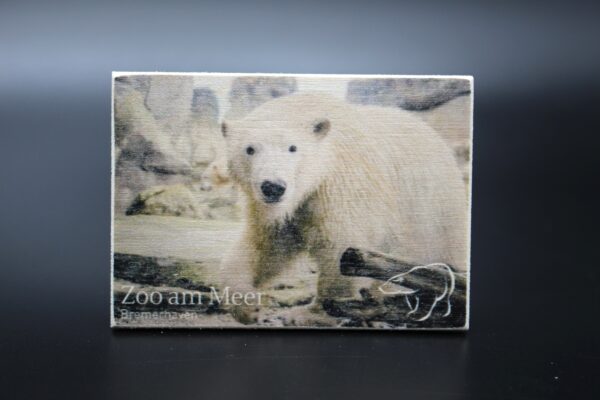 Holzmagnet „Zoo am Meer Bremerhaven" - Eisbär - Motiv I