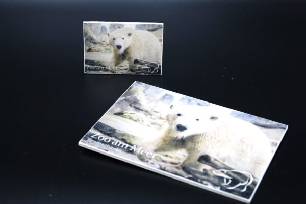 Holzmagnet „Zoo am Meer Bremerhaven" - Eisbär - Motiv I – Bild 3