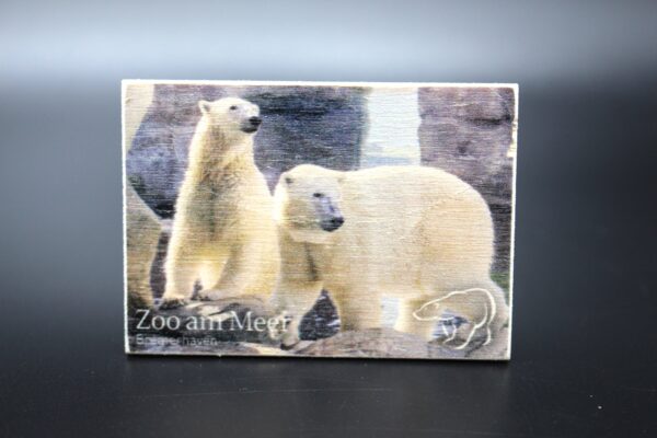 Holzmagnet „Zoo am Meer Bremerhaven" - Eisbären - Motiv II