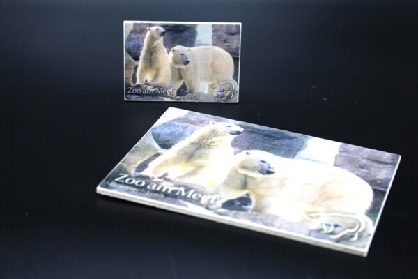 Holzmagnet „Zoo am Meer Bremerhaven" - Eisbären - Motiv II – Bild 3