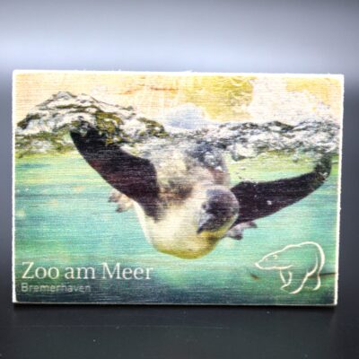 Holzmagnet „Zoo am Meer Bremerhaven" - Pinguin