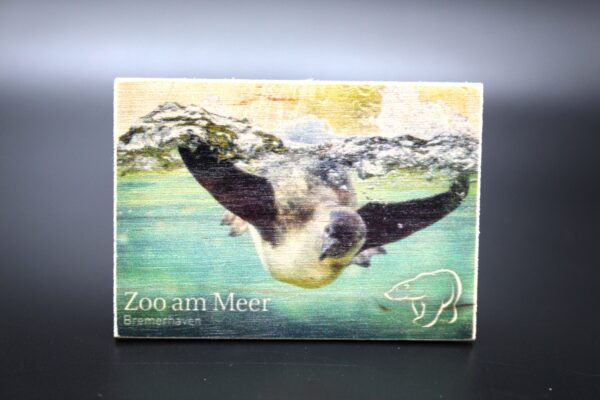 Holzmagnet „Zoo am Meer Bremerhaven" - Pinguin