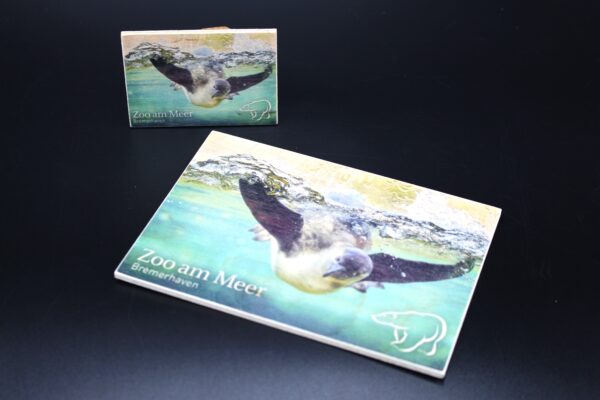 Holzmagnet „Zoo am Meer Bremerhaven" - Pinguin – Bild 3