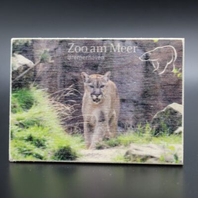 Holzmagnet „Zoo am Meer Bremerhaven" - Puma