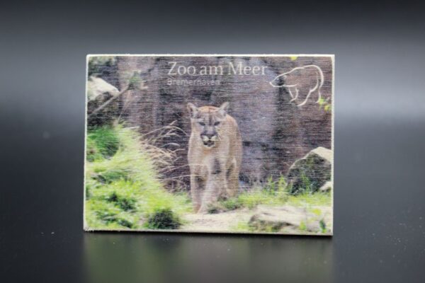 Holzmagnet „Zoo am Meer Bremerhaven" - Puma