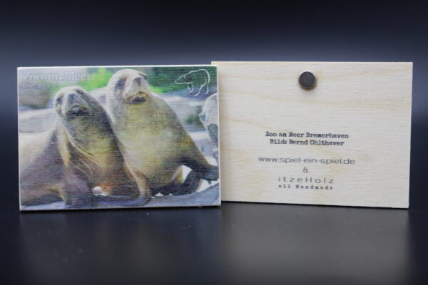 Holzmagnet „Zoo am Meer Bremerhaven" - Seehunde mit Schönheitsfehler – Bild 3