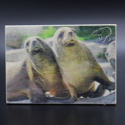 Holzmagnet „Zoo am Meer Bremerhaven" - Seehunde mit Schönheitsfehler