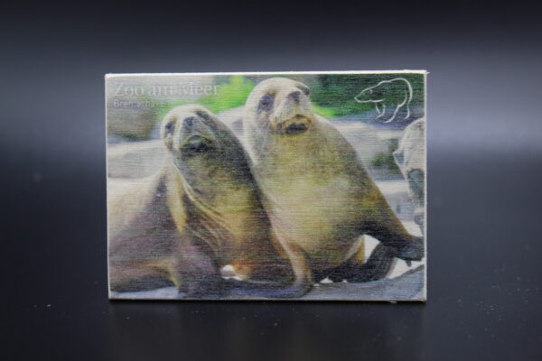 Holzmagnet „Zoo am Meer Bremerhaven" - Seehunde mit Schönheitsfehler – Bild 2