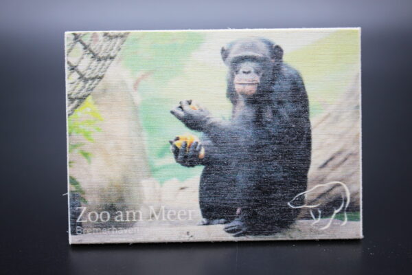 Holzmagnet „Zoo am Meer Bremerhaven" - Dumas