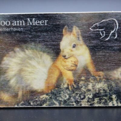 Holzmagnet „Zoo am Meer Bremerhaven" - Eichhörnchen