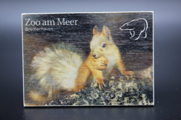 Holzmagnet „Zoo am Meer Bremerhaven" - Eichhörnchen