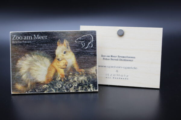 Holzmagnet „Zoo am Meer Bremerhaven" - Eichhörnchen – Bild 2