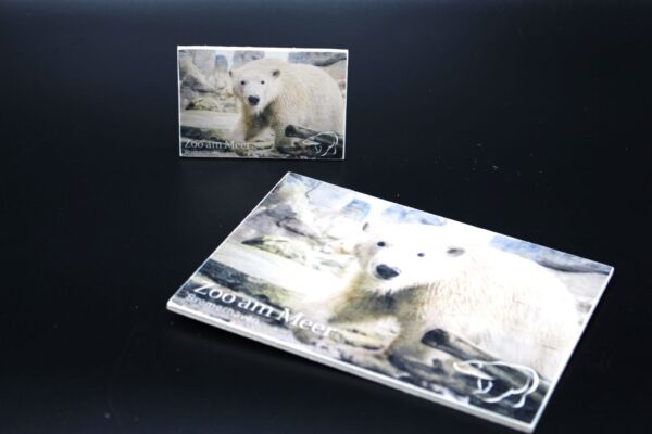 Holzmagnet „Zoo am Meer Bremerhaven" - Eisbären - Motiv I – Bild 3