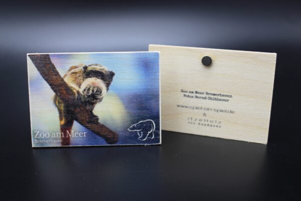Holzmagnet „Zoo am Meer Bremerhaven" - Kaiserschnurrbarttamarine – Bild 2