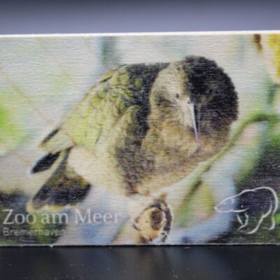 Holzmagnet „Zoo am Meer Bremerhaven" - Kea