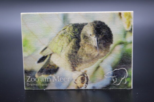 Holzmagnet „Zoo am Meer Bremerhaven" - Kea