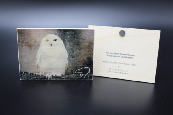 Holzmagnet „Zoo am Meer Bremerhaven" - Schneeeule – Bild 2