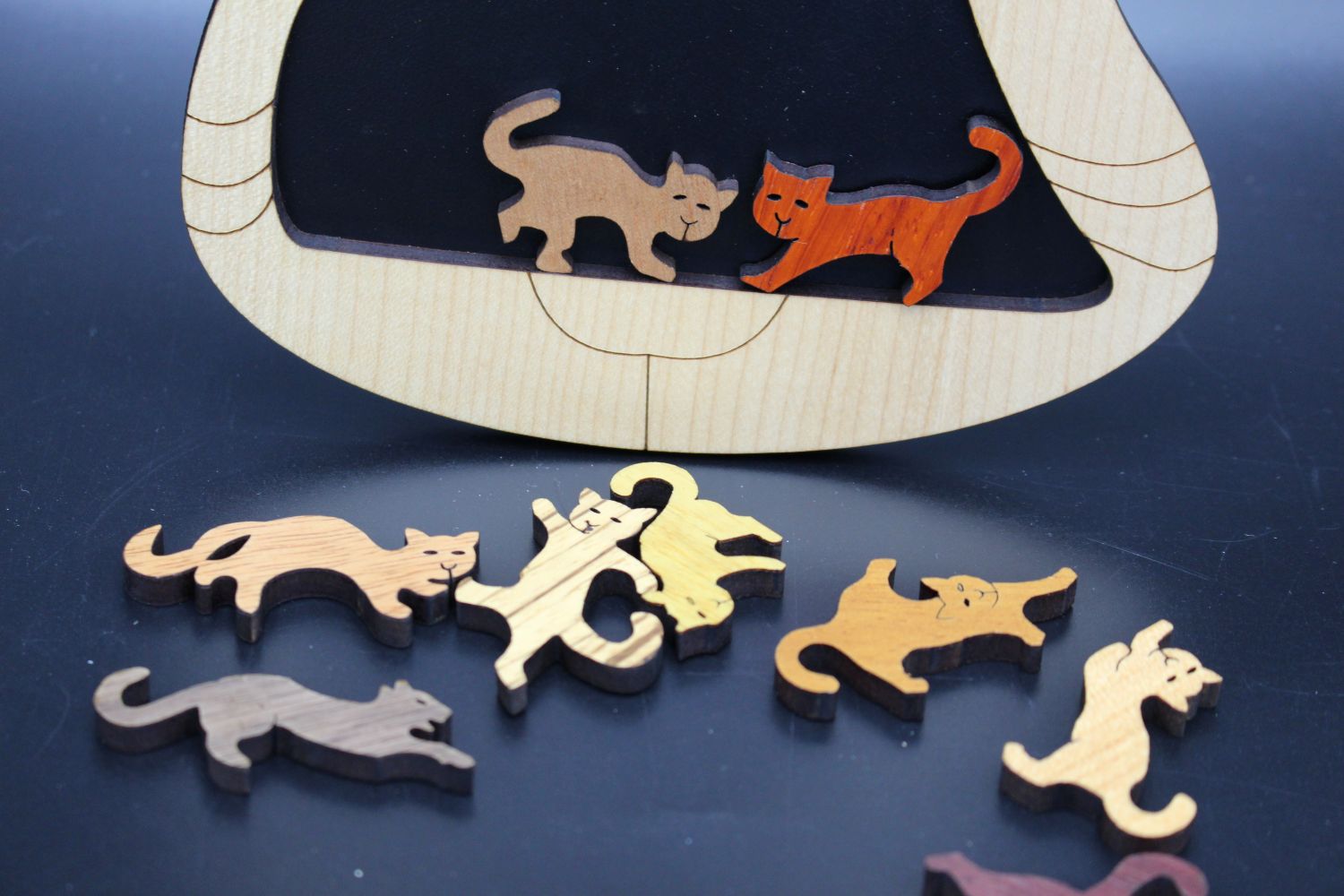 Constantin-Knobelpuzzle "Alles für die Katz" – Bild 3