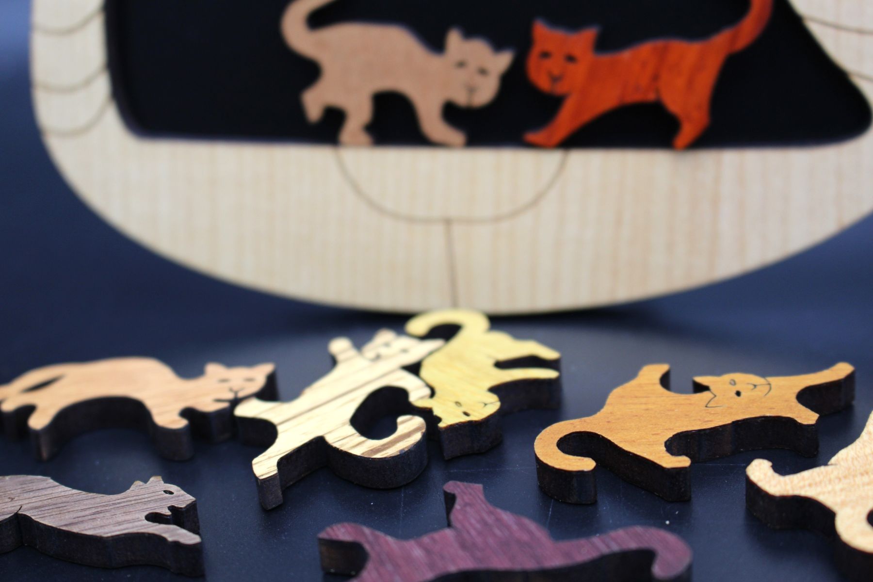 Constantin-Knobelpuzzle "Alles für die Katz" – Bild 4